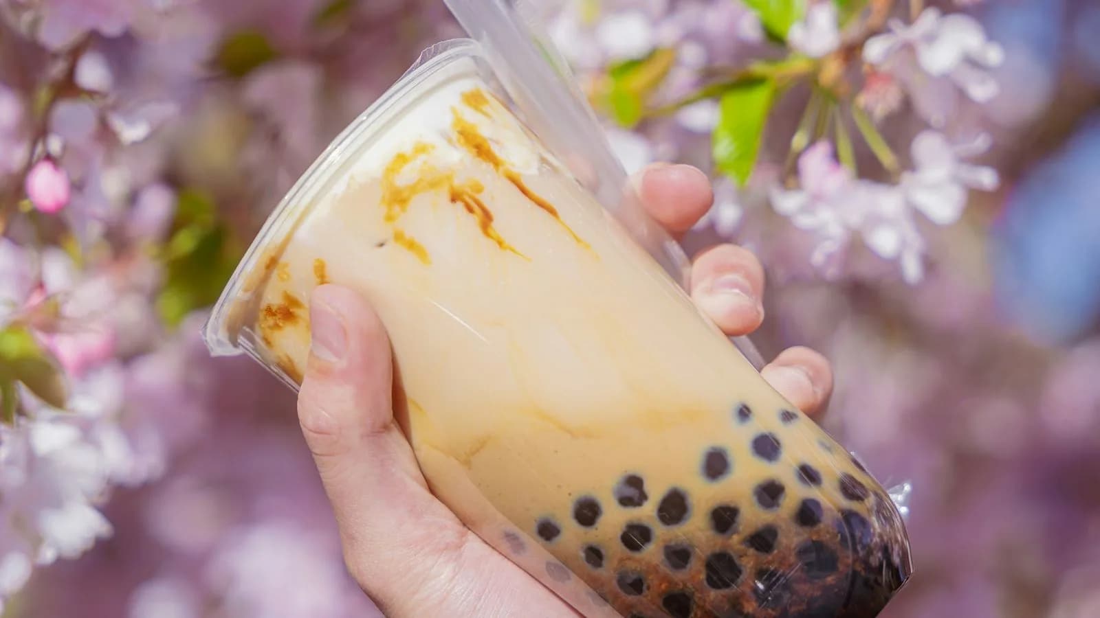A hand holding bubble tea with tapioca pearls beneath pink blossoms. Illustrative photo.